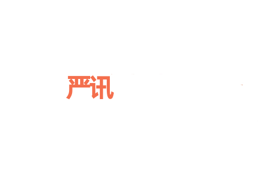 严讯