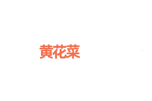 黄花菜
